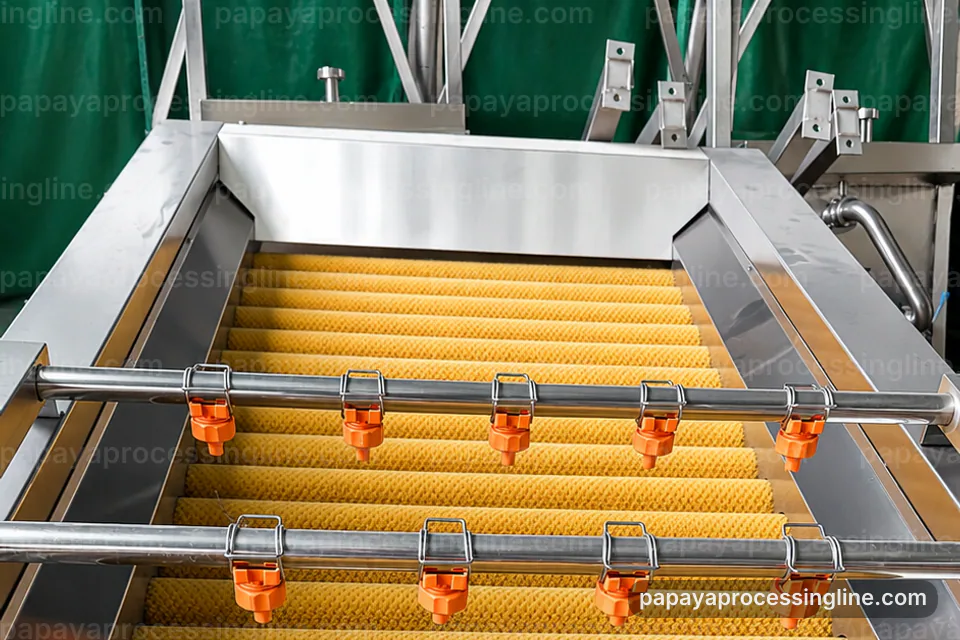 Industrial Papaya Puree Processing Line: Process Scope And Configuration Operating Stage industrial papaya puree processing line, process scope and configuration: papaya seed removal station operating stage